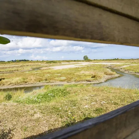 Maison De Charme Avec Jardin A - Fr-1-788-51 Feriehus *
