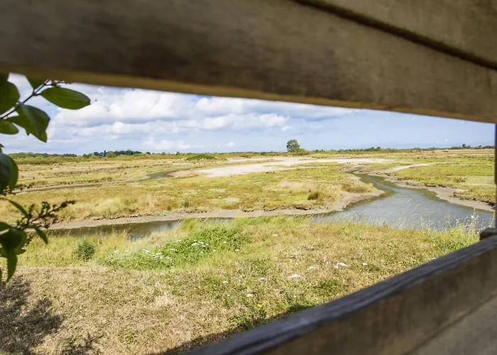 Maison De Charme Avec Jardin A - Fr-1-788-51 Feriehus *